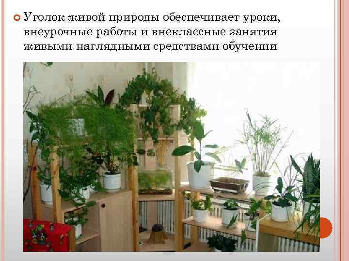 Живой уголок в школе - страна мам