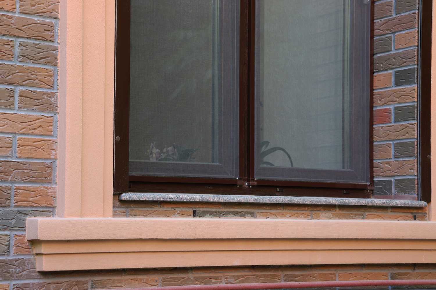 Каталог цветов renolit