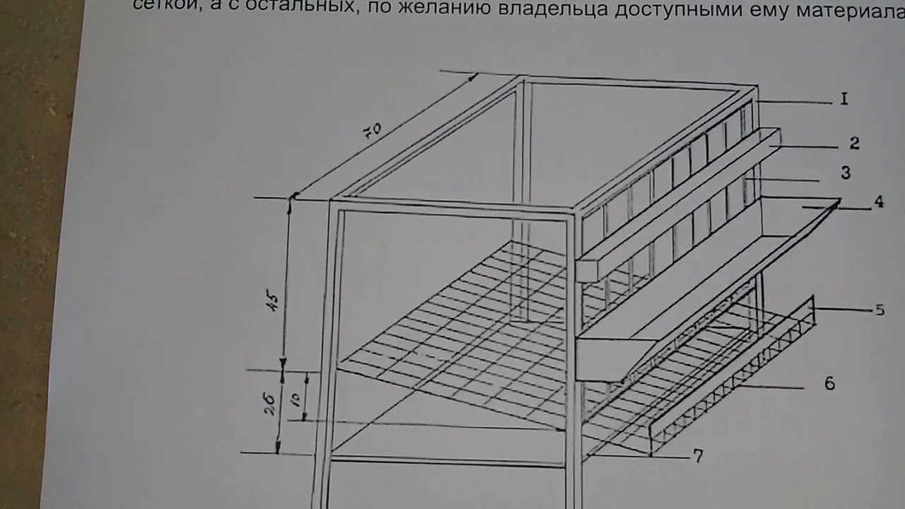 Клетки для содержания кур несушек: как сделать своими руками, чертежи, фото