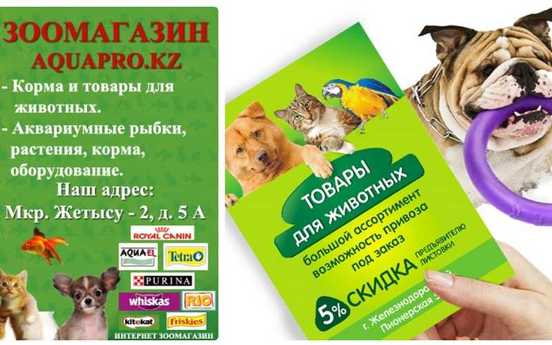 Зоомагазин - дизайн помещения внутри и снаружи
