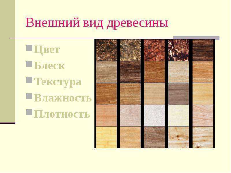 Ясень шимо светлый и темный в интерьере, оттенки мебели, шторы на кухню под мебель из ясеня