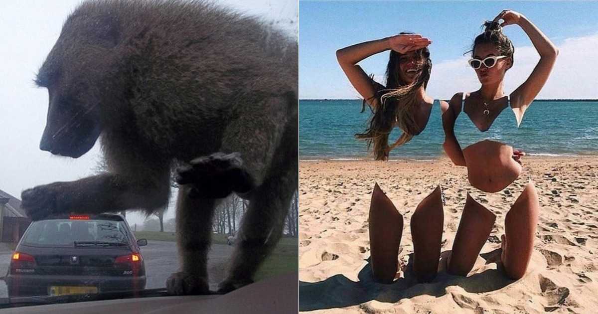 Красивый вид из окна самолета. фото в небе, ночью, днем