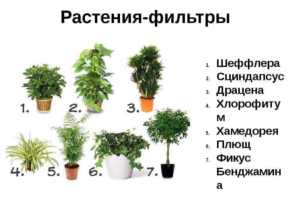 Свадебные композиции на стол: 105 фото лучших примеров украшений стола гостей и молодоженов свежими цветами, фруктами и декором