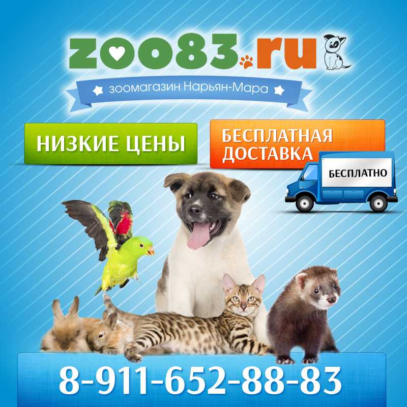 Дизайн зоомагазина