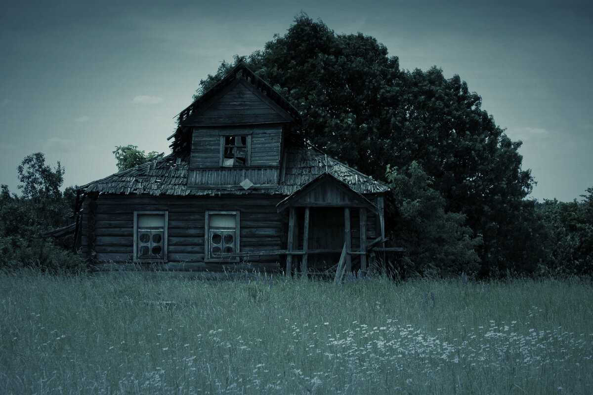 Самые жуткие леса в мире