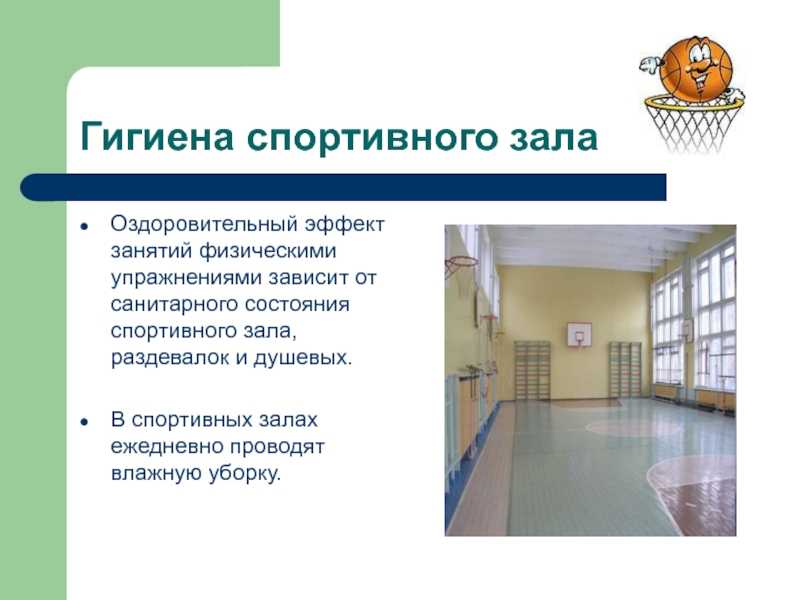 Что должно быть в школьном спортзале?