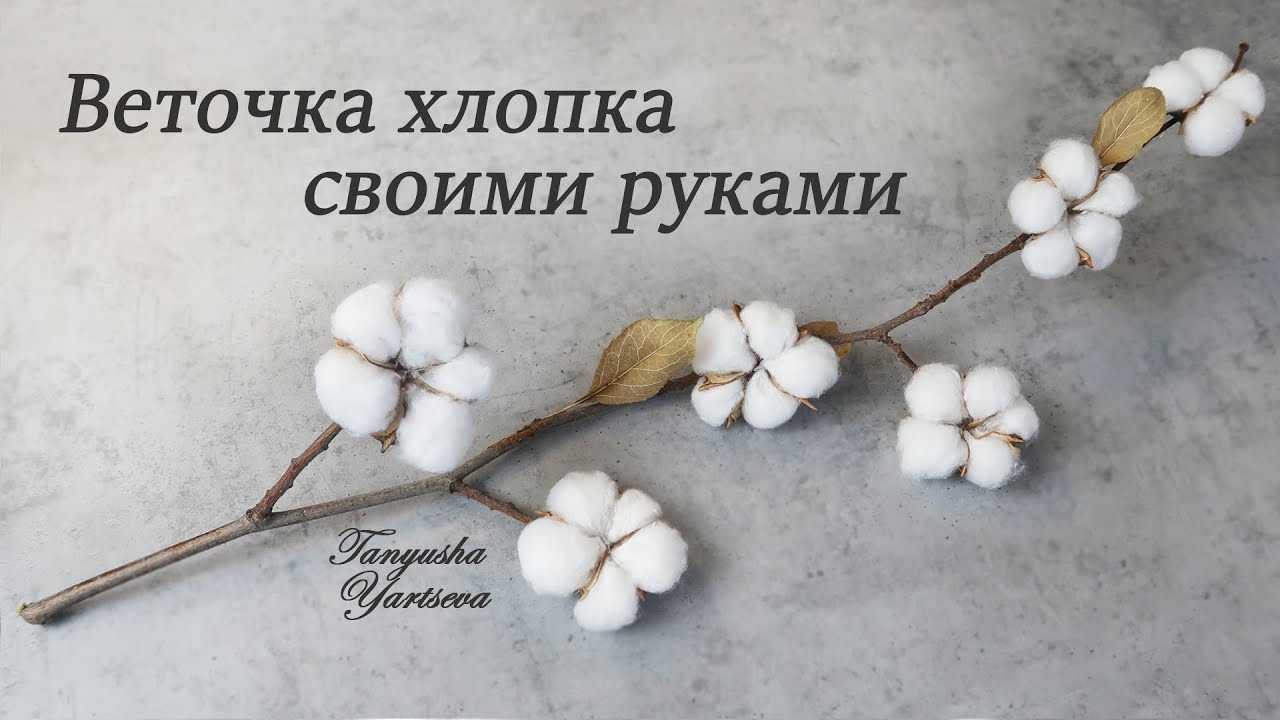 Символика цвета в флористике