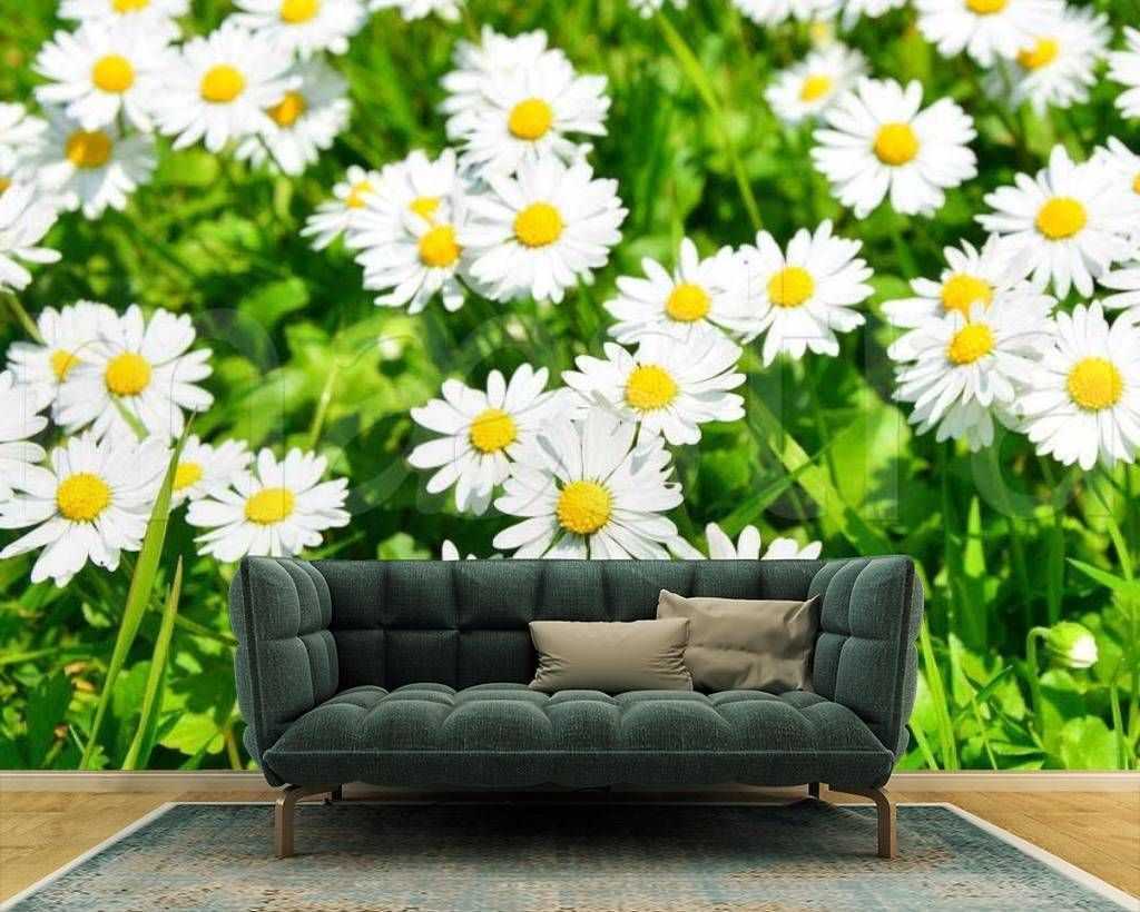 Фотообои с ромашками | онлайн-журнал о ремонте и дизайне