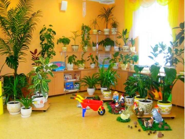 Живой уголок в нашей школе | проектная деятельность