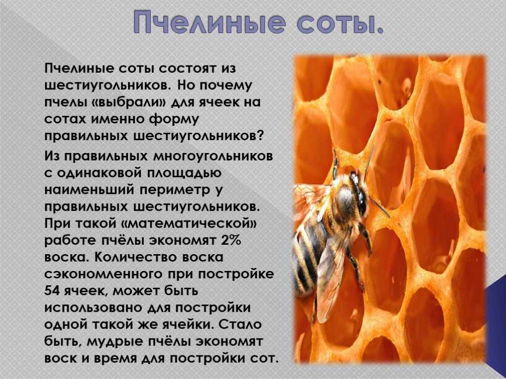 Зеркальная плитка в интерьере: идеи применения