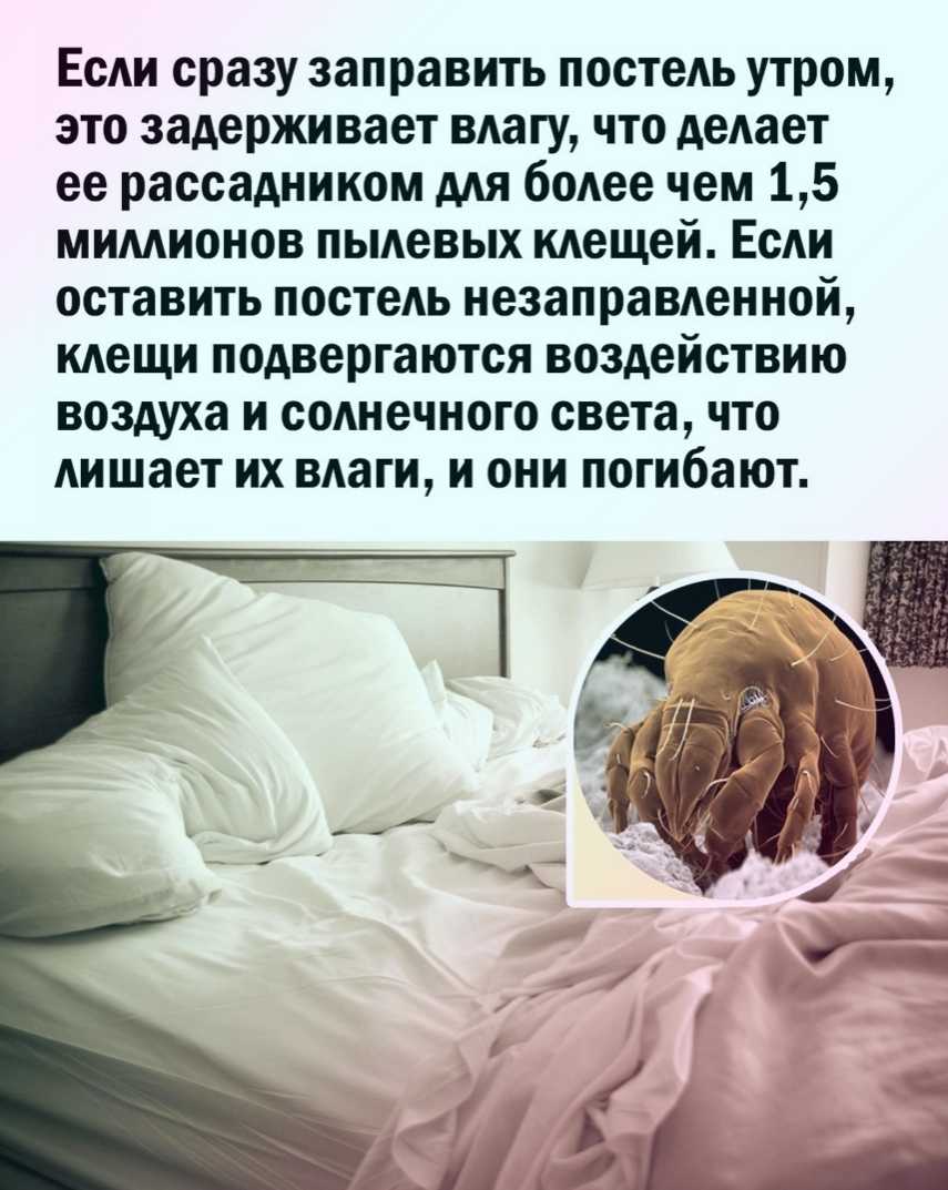 Почему нельзя заправлять постель сразу после сна